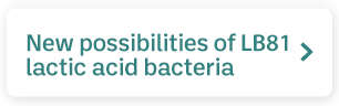 New possibilities of LB81 lactic acid bacteria