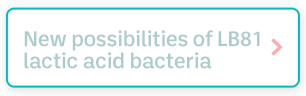 New possibilities of LB81 lactic acid bacteria