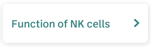 Function of NK cells