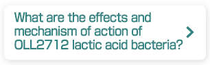 What are the effects and mechanism of action of OLL2712 lactic acid bacteria?