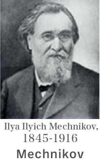 Mechnikov