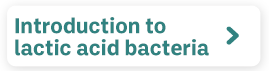 Introduction to lactic acid bacteria
