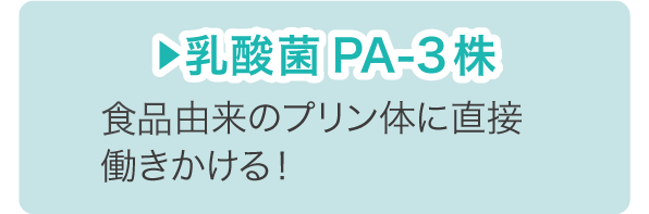 乳酸菌PA-3株