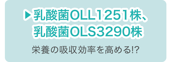 乳酸菌OLL1251株、乳酸菌OLS3290株