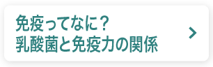 免疫ってなに？乳酸菌と免疫力の関係