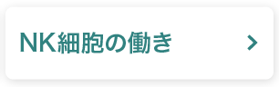 NK細胞の働き