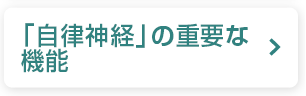 「自律神経」の重要な機能