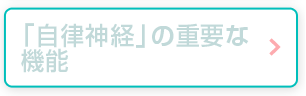 「自律神経」の重要な機能