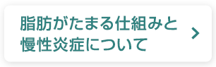 脂肪がたまる仕組みと慢性炎症について