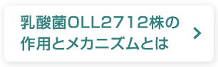 乳酸菌OLL2712株の作用とメカニズムとは