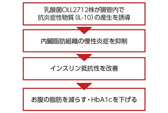乳酸菌OLL2712株の作用とメカニズムとは