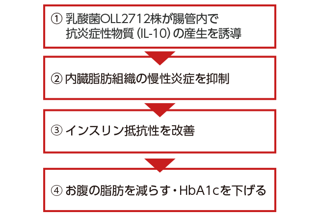 MI-2乳酸菌の作用とメカニズムとは