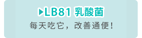 LB81 乳酸菌