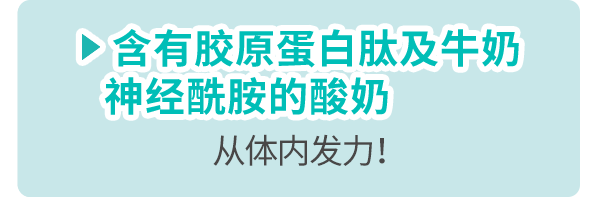 含有胶原蛋白肽及牛奶神经酰胺的酸奶