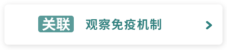 【关联】观察免疫机制