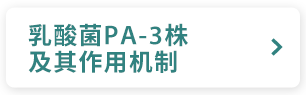 乳酸菌PA-3株及其作用机制
