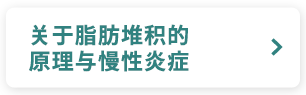 关于脂肪堆积的原理与慢性炎症