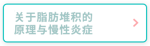 关于脂肪堆积的原理与慢性炎症