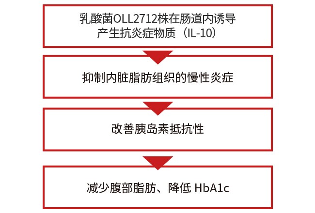 乳酸菌OLL2712株的作用与机制