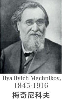 梅奇尼科夫