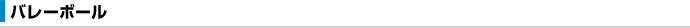 バレーボール