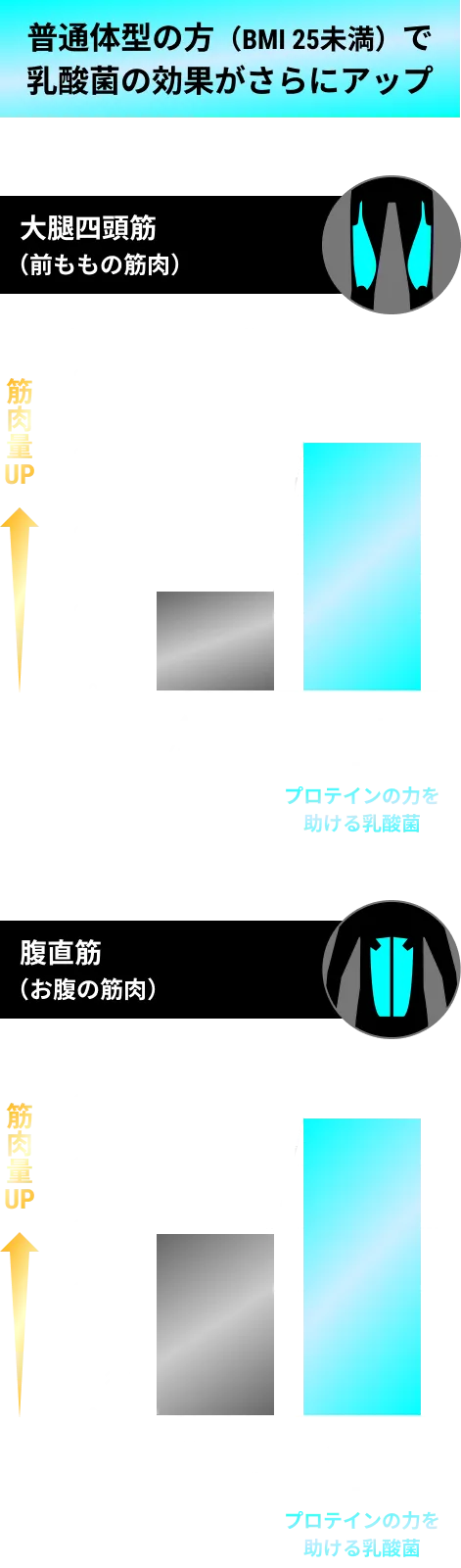 普通体型の方（BMI25未満）で乳酸菌の効果がさらにアップ