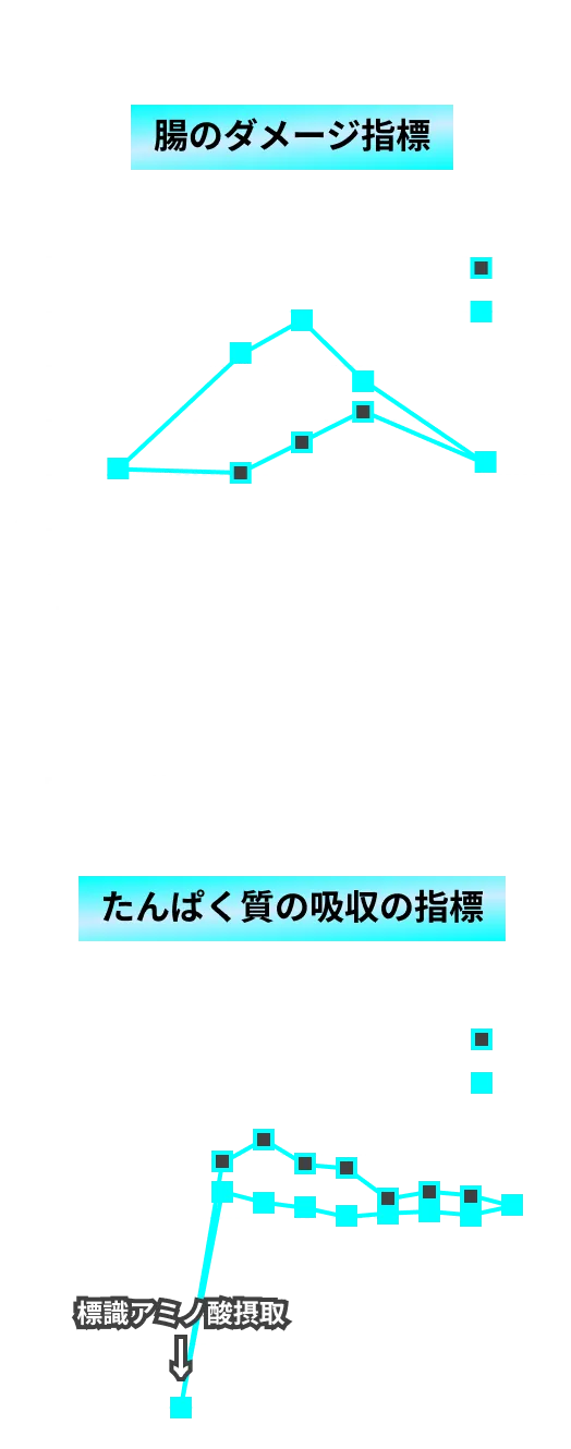 運動による腸へのダメージとたんぱく質の吸収の指標