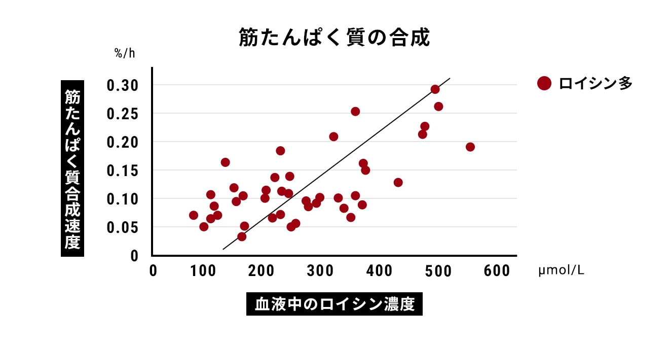 筋たんぱく質の合成