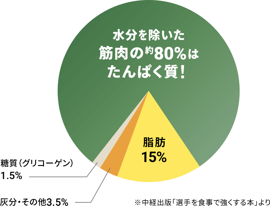 水分を除いた筋肉の約80%はたんぱく質！ 脂肪15% 灰分・その他3.5% 糖質（グリコーゲン）1.5% ※中経出版「選手を食事で強くする本」より