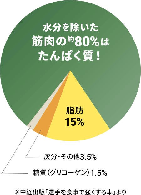 水分を除いた筋肉の約80%はたんぱく質！ 脂肪15% 灰分・その他3.5% 糖質（グリコーゲン）1.5% ※中経出版「選手を食事で強くする本」より