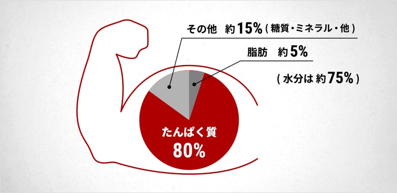 たんぱく質80％　脂肪約5％　その他約15％（糖質・ミネラル・他）　（水分は約75％）