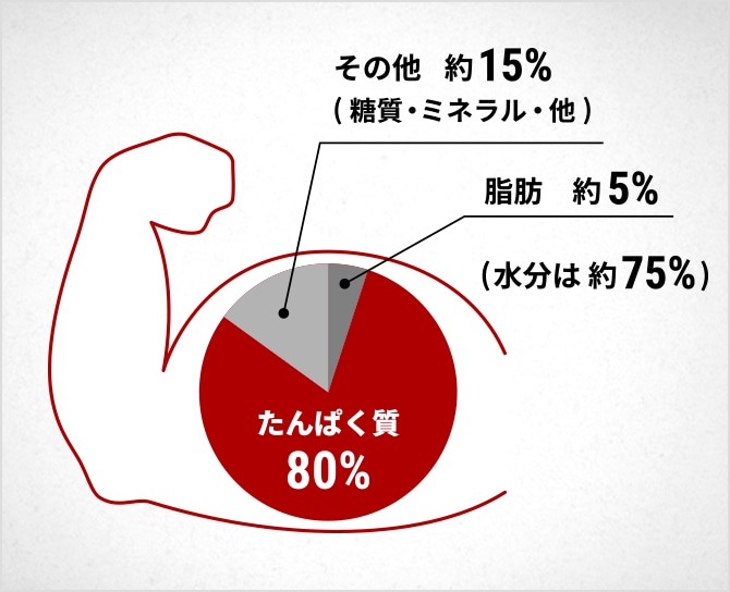 たんぱく質80％　脂肪約5％　その他約15％（糖質・ミネラル・他）　（水分は約75％）