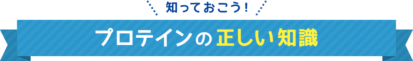 知っておこう! プロテインの正しい知識