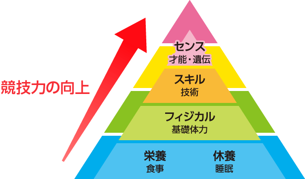 スポーツジュニアの栄養の重要性 イメージ