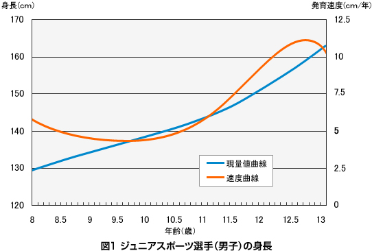 成長期とからだの変化について スポーツジュニアとトレーニング ザバスジュニア 株式会社 明治 Meiji Co Ltd