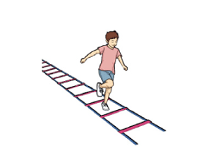 成長期に必要なトレーニング〜「敏しょう性」〜