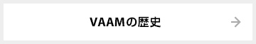 VAAMの歴史