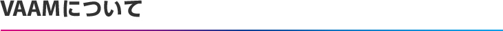 VAAMについて