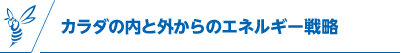 カラダの内と外からのエネルギー戦略
