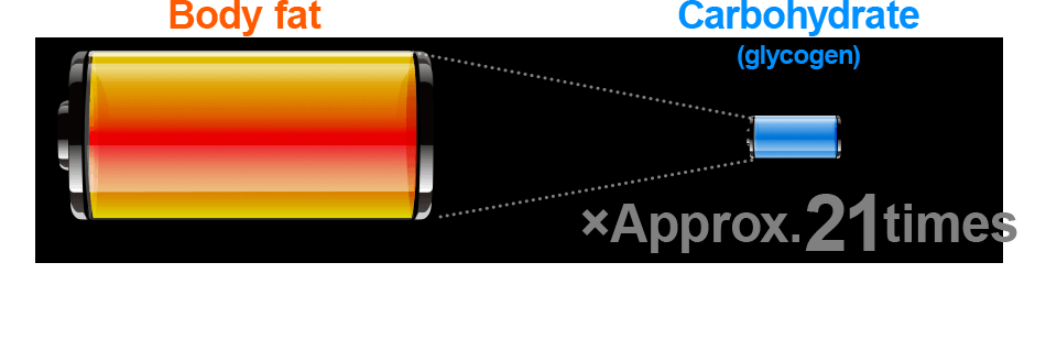 Body fat Carbohydrate (glycogen) × Approx. 21 times *Assuming a body weight of 60 kg and a body fat percentage of around 10%, this is the value assuming that all body fat is converted into energy. The value varies among individuals.