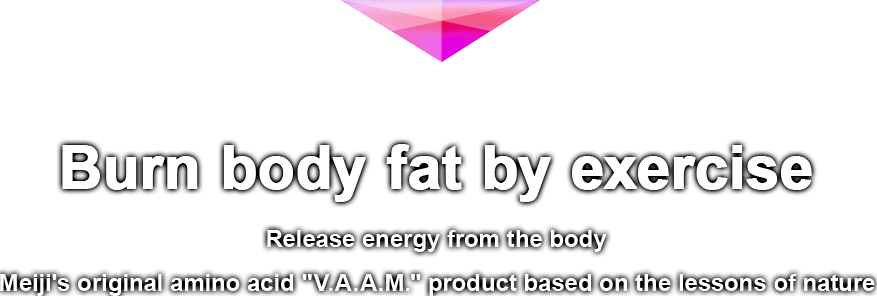 Burn body fat by exercise Release energy from the body Meiji's original amino acid "V.A.A.M." product based on the lessons of nature