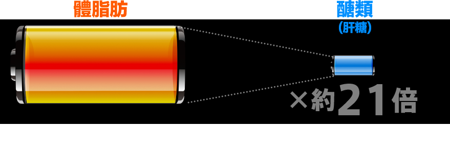 ��ת�����(�x�})�� �魫60kg?��תղv����10�H�ɡA��תե����ഫ����q�ɪ��ƾڡC�ƾڷ|�]�H�Ӳ��C