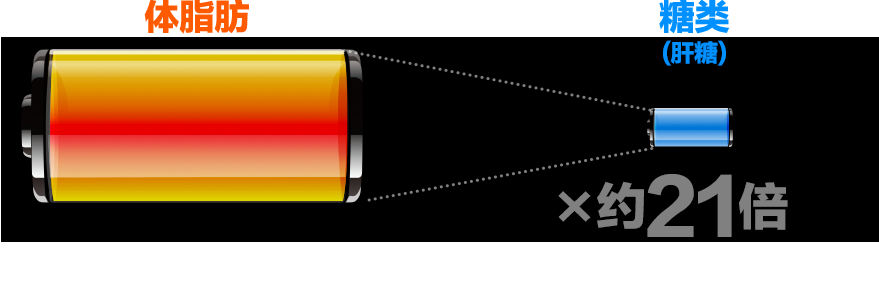 �^�תտ}?(�x�})�� �^��60kg?�^�תղv??10�H?�B�^�תե���??����q��?�u�C?�u?�]�H���ݡC