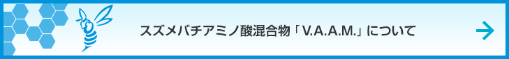 スズメバチアミノ酸混合物「V.A.A.M」について