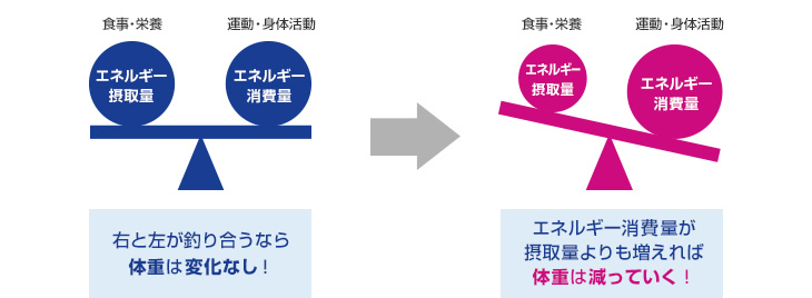 ダイエットクラス：健康的なダイエットとは：イメージ1