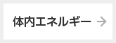 体内エネルギー