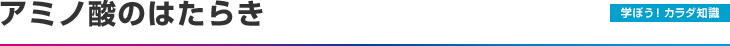 学ぼう！カラダ知識：アミノ酸のはたらき