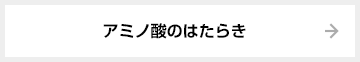 アミノ酸の働き