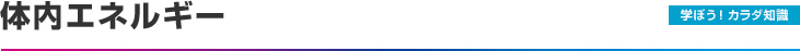 学ぼう！カラダ知識：体内エネルギー