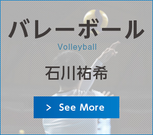 バレーボール 全日本女子/男子バレーボールチーム